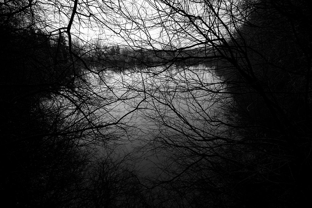 Divers-20090121-Vendee-Mouchand-et-au-delas-22.jpg