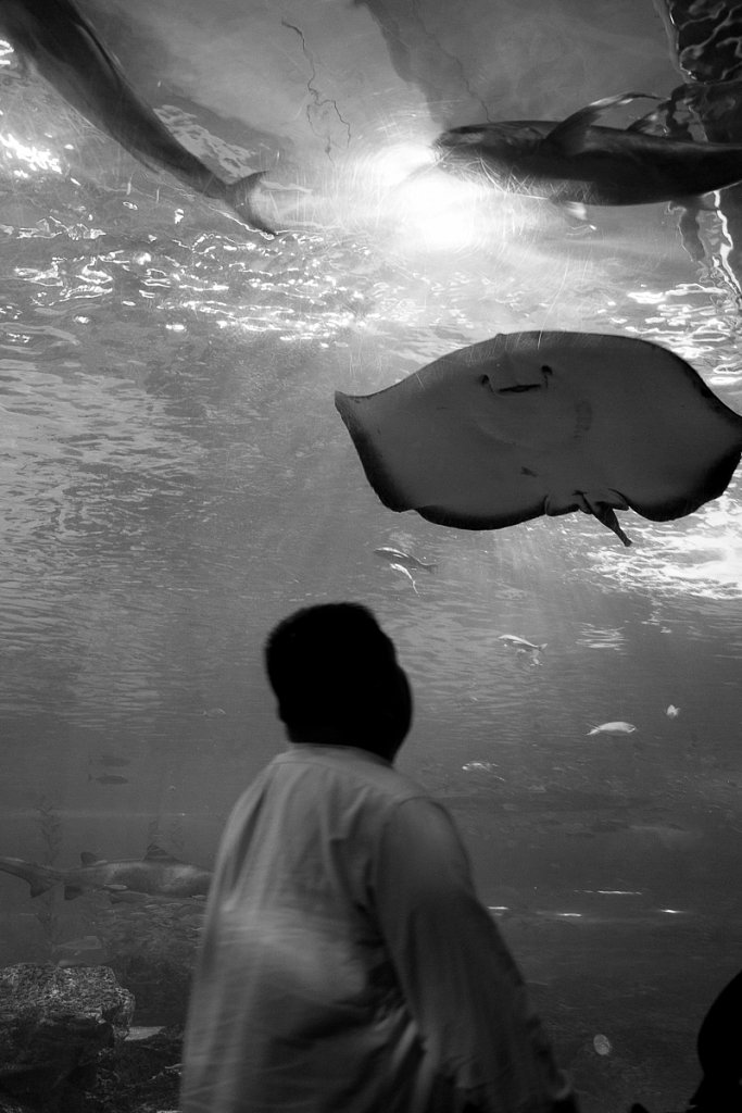 Coree-Busan-60-10-mai-2012.jpg